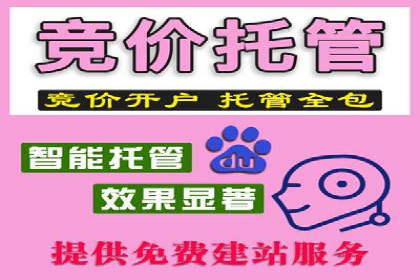 百度竞价广告投放策略：案例分析及效果评估